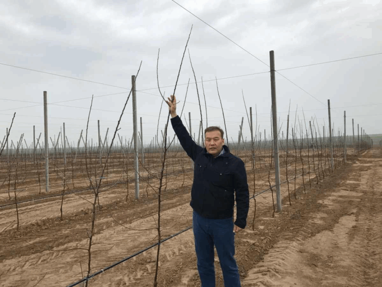 Рост не приходит сам по себе — мажилисмен о развитии экономики Казахстана