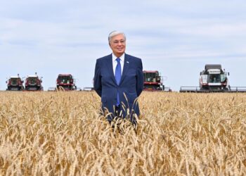 Логика реформ-4: Сильные регионы — сильная нация