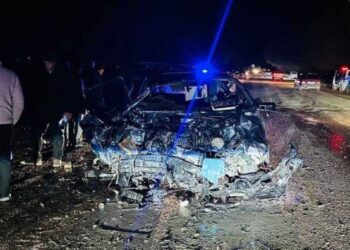 116 человек погибли в этом году на автодорогах Жетісу