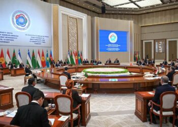 О перспективах взаимодействия стран ЦА в сфере добычи редкоземельных металлов