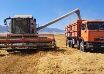 Аграрии Кербулакского района обеспечили рекордный урожай