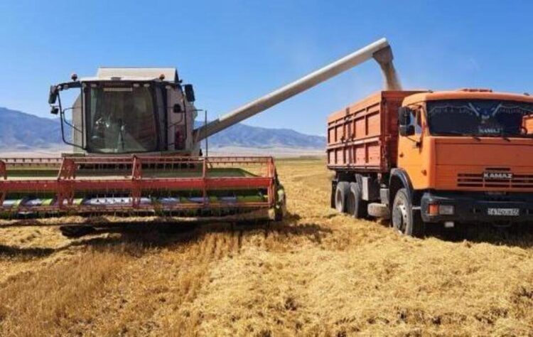 Аграрии Кербулакского района обеспечили рекордный урожай