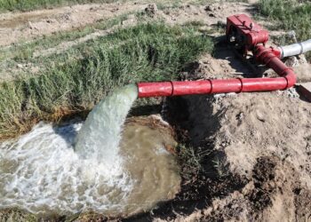 Поливная вода обеспечила до 30% ВВП сельского хозяйства