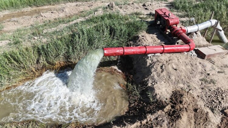 Поливная вода обеспечила до 30% ВВП сельского хозяйства