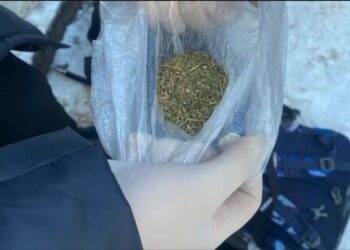 В Сарканском районе пресечён незаконный оборот марихуаны