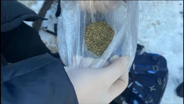 В Сарканском районе пресечён незаконный оборот марихуаны