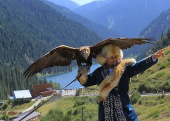 Путь единства и созидания