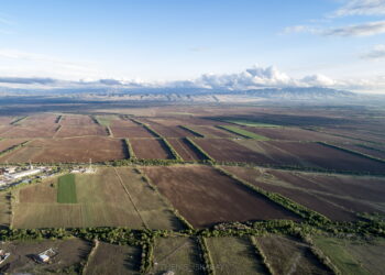 В Жетісу возвращены в госсобственность 603 тысячи гектаров земель