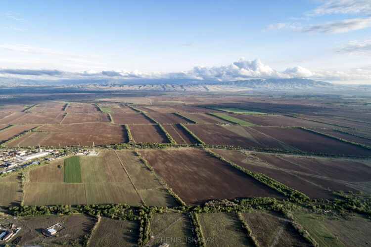 В Жетісу возвращены в госсобственность 603 тысячи гектаров земель