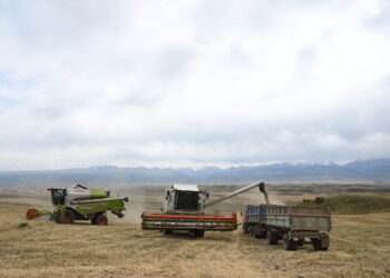 Объем сельхозпродукции составил 9,2 трлн тенге в Казахстане