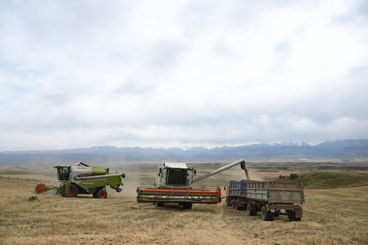 Объем сельхозпродукции составил 9,2 трлн тенге в Казахстане