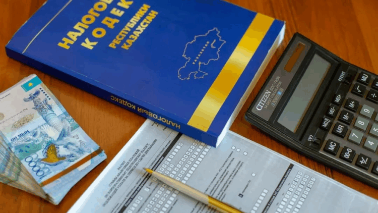 Новые нормы Налогового кодекса разъяснили в Жетісу