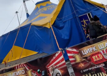 300 детей бесплатно посетили новогоднее цирковое шоу в Талдыкоргане