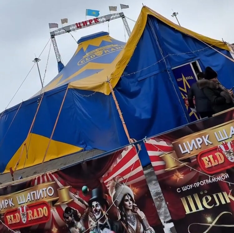 300 детей бесплатно посетили новогоднее цирковое шоу в Талдыкоргане