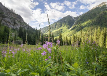 Жетiсу уверенно укрепляет статус одного из ключевых турцентров Казахстана