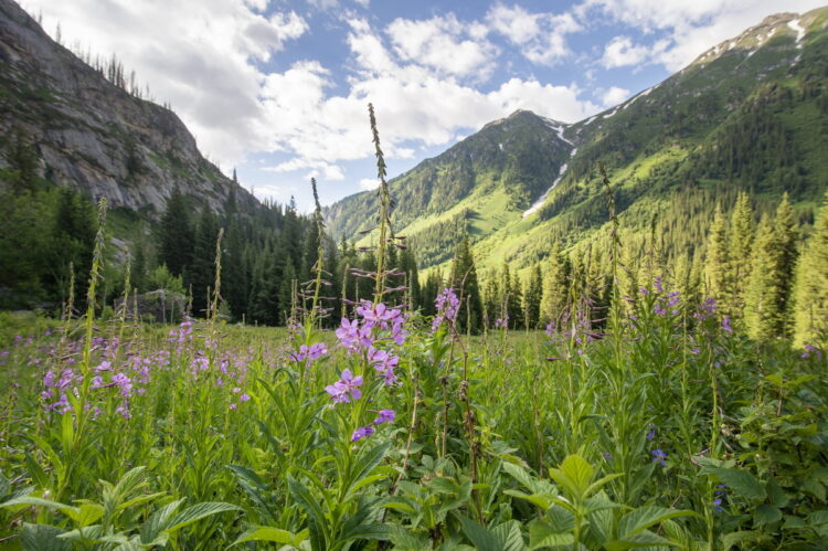 Жетiсу уверенно укрепляет статус одного из ключевых турцентров Казахстана