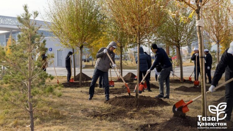 Порядка 1,5 млрд саженцев высажено в Казахстане за пять лет