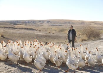 Птичница из Жетiсу завоевывает отечественный и зарубежный рынки