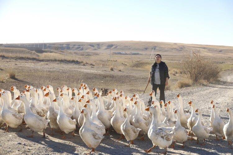 Птичница из Жетiсу завоевывает отечественный и зарубежный рынки