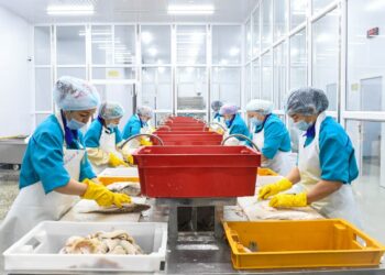 Сразу семь хозяйств занимаются добычей рыбы в Алакольском районе