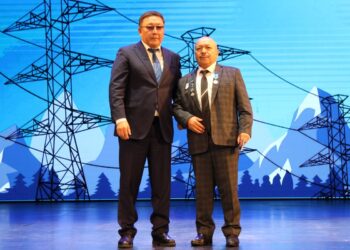 В профессиональный праздник энергетики Жетісу удостоились высоких наград