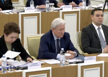 Халық Кеңесі возьмет на себя функции Ассамблеи народа Казахстана