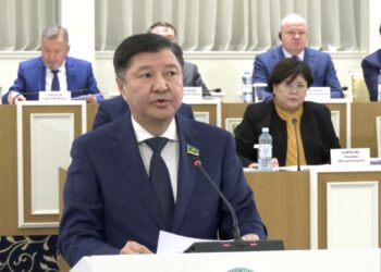 Закон, порядок и будущее страны: почему Казахстану важна конституционная реформа