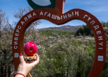 Жетісу приглашает: три главных фестиваля 2026 года