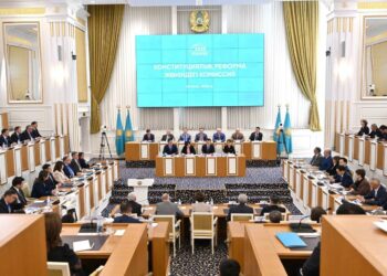 Глава ОСДП: Конституционная реформа — это ответ на очень конкретные запросы общества