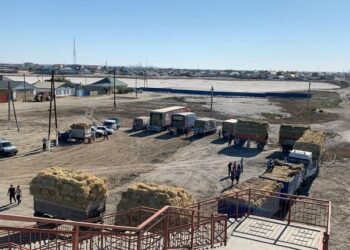 Аграрии Коксуского района выполняют план по заготовке кормов