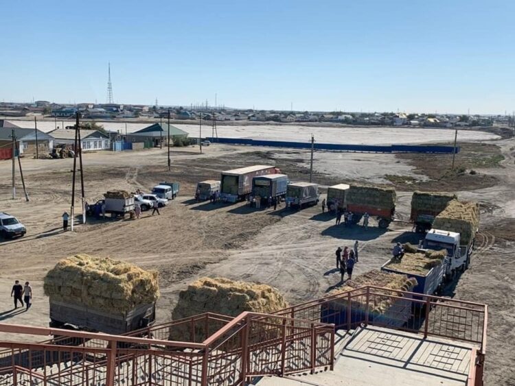 Аграрии Коксуского района выполняют план по заготовке кормов