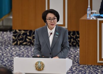 Унзила Шапак: Обновление преамбулы Конституции определит идеологическое направление страны