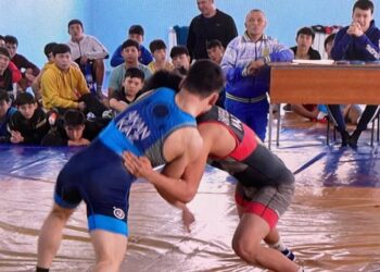 В Жетісу стартовал чемпионат по греко-римской борьбе среди молодежи