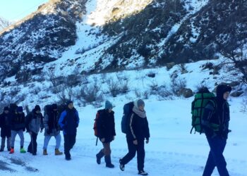 Школьники Жетісу проводят каникулы с пользой