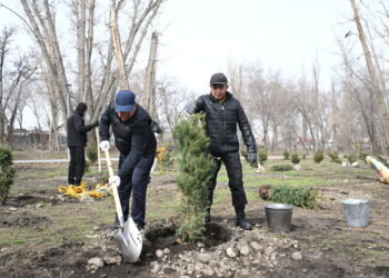 Президент: «Таза Қазақстан» — не формальный лозунг, а результат упорного труда