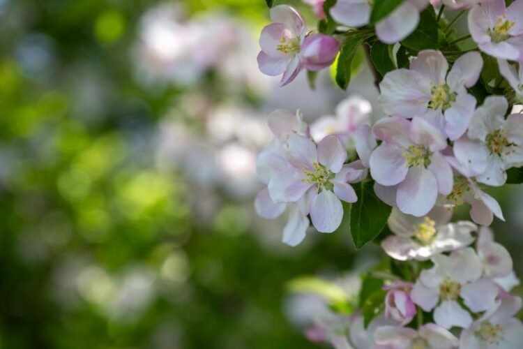 Экологический туризм Жетісу набирает высоту