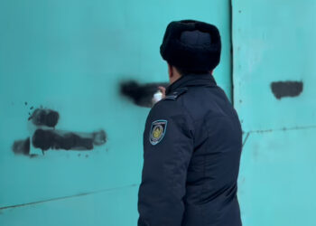 Шесть фактов наркографики выявлены в Талдыкоргане