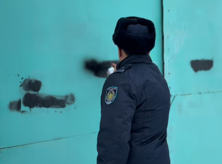 Шесть фактов наркографики выявлены в Талдыкоргане