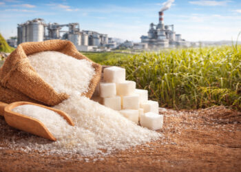 В области Жетiсу увеличат производство сахара