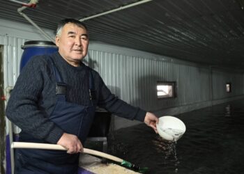 Мальков форели разводят в Талдыкоргане