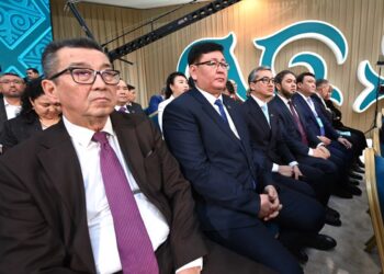 Глава государства поручил запустить новые мощности, не дожидаясь строительства АЭС