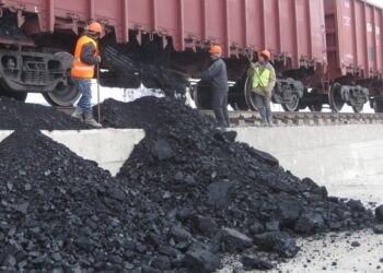 Антимонопольщики Жетісу проверили продавцов твердого топлива