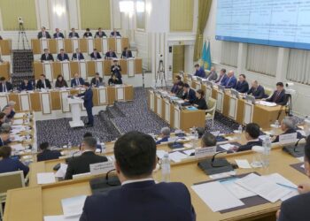 Народный совет и однопалатный Парламент закрепят в Основном законе