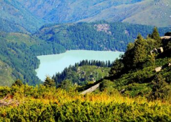 Жемчужину Жетісу озеро Жасыл көл ждет масштабное благоустройство