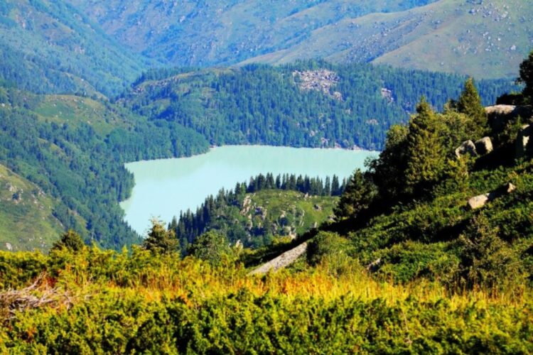 Жемчужину Жетісу озеро Жасыл көл ждет масштабное благоустройство