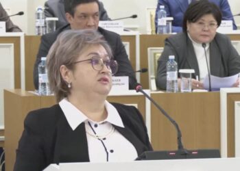 Новая Конституция четко разграничивает права гражданина и права человека – Индира Аубакирова