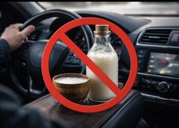 Кумыс и шубат могут повлиять на результат алкотеста