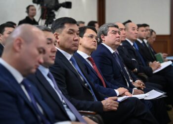 Цифровизация и ИИ названы ключевыми драйверами развития Казахстана