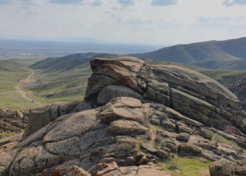 Три экопарка откроют в Жетісу