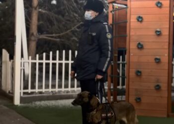 Талдыкорганские полицейские проверяют кафе и бары на наркотики